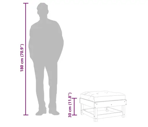 Dārza Soliņi Ar Matračiem, 2 Gab., Duglasa Egles Masīvkoks Vidaxl