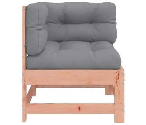 Kampinė Sofos Dalis Su Pagalvėlėmis, Douglas Eglės Masyvas