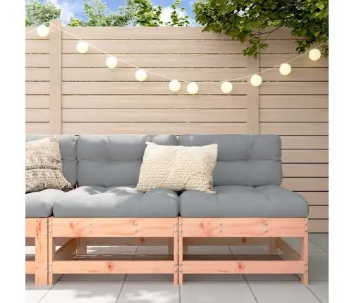 Keskmised Diivaniosad Patjadega 2 Tk, Ebatsuuga Puit