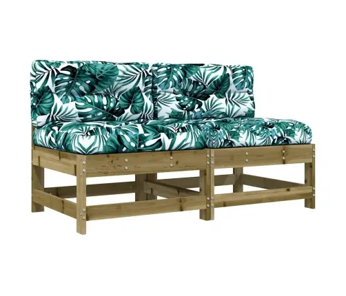 Keskmised Diivaniosad Patjadega 2 Tk, Immutatud Männipuit