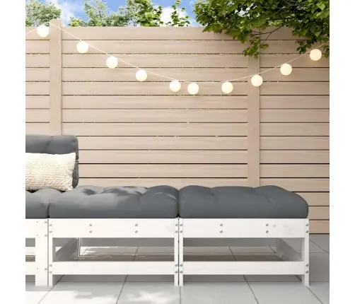 Dārza Soliņi Ar Matračiem, 2 Gab., Balts Priedes Masīvkoks Vidaxl