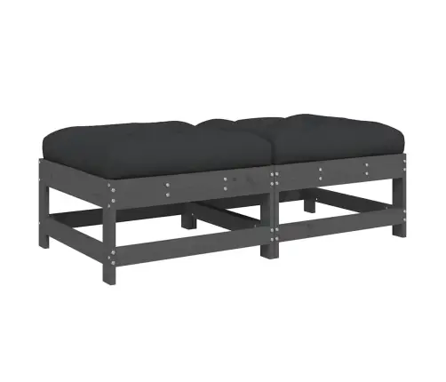 Dārza Soliņi Ar Matračiem, 2 Gab., Pelēks Priedes Masīvkoks Vidaxl