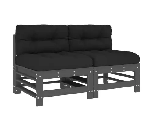 Keskmised Diivaniosad Patjadega 2 Tk, Hall, Männipuit