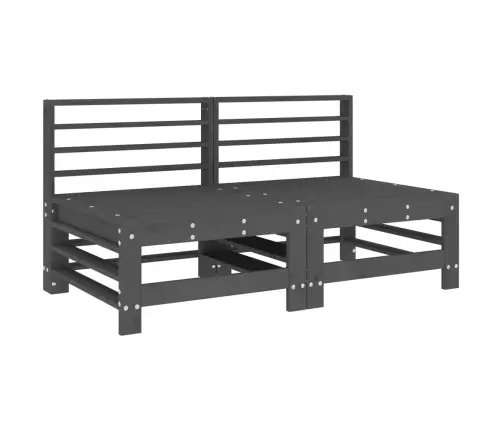 Keskmised Diivaniosad Patjadega 2 Tk, Hall, Männipuit