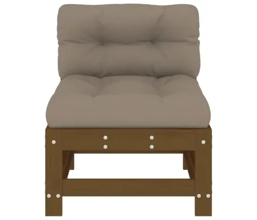 Keskmised Diivaniosad Patjadega 2 Tk, Meepruun, Männipuit