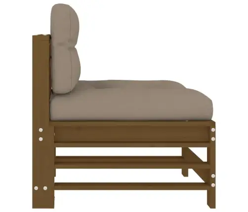 Keskmised Diivaniosad Patjadega 2 Tk, Meepruun, Männipuit