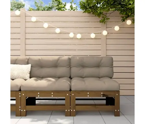 Keskmised Diivaniosad Patjadega 2 Tk, Meepruun, Männipuit