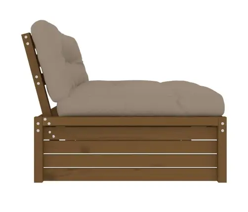 Vidurinė Sofos Dalis, Medaus Ruda, 120X80cm Pušies Masyvas