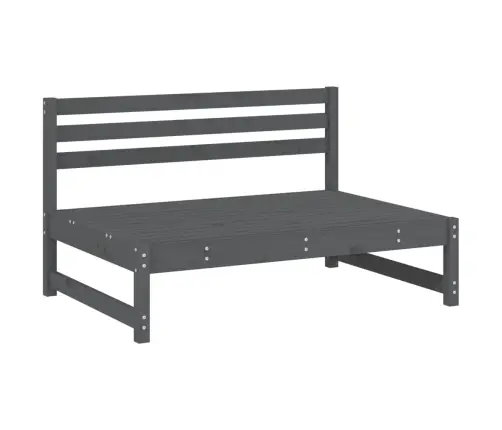 Vidurinės Sodo Sofos Dalys, 2Vnt., Pilkos, 120X80cm Pušis