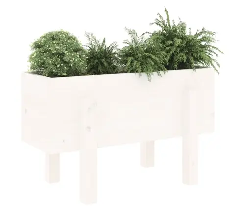 Dārza Puķu Kaste, Balta, 62X30X38 Cm, Priedes Masīvkoks Vidaxl