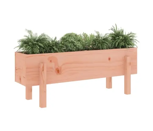 Aukštas Sodo Lovelis, 101X30X38cm Douglas Eglės Masyvas