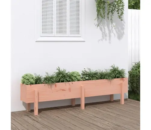 Kõrgendatud Aia Taimelava, 160X30X38 cm Ebatsuuga Puit