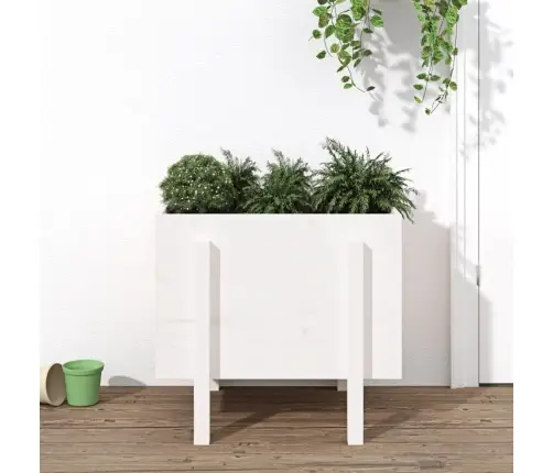 Sodo Lovelis, Baltas, 62X50X57cm Pušies Medienos Masyvas