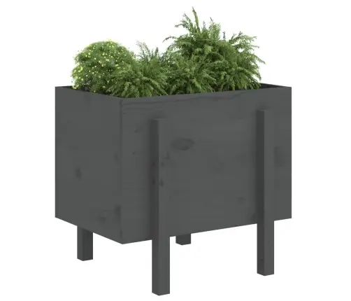 Dārza Puķu Kaste, Pelēka, 62X50X57 Cm, Priedes Masīvkoks Vidaxl