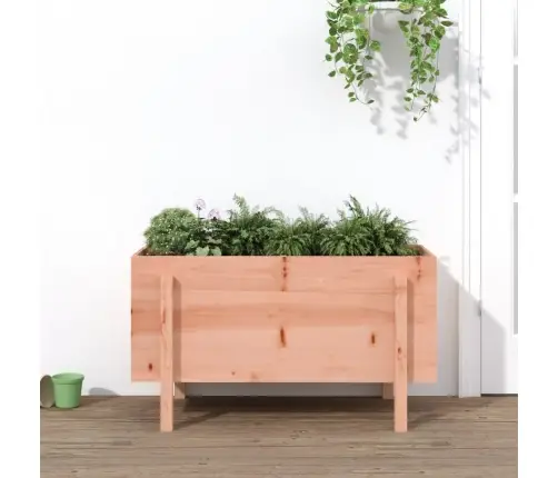 Aukštas Sodo Lovelis, 101X50X57cm Douglas Eglės Masyvas