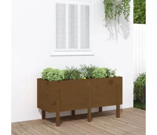 Aukštas Sodo Lovelis, Medaus Rudas, 121X50X57cm Pušies Masyvas