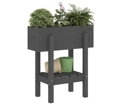Dārza Puķu Kaste, Pelēka, 62X30X69 Cm, Priedes Masīvkoks  Vidaxl