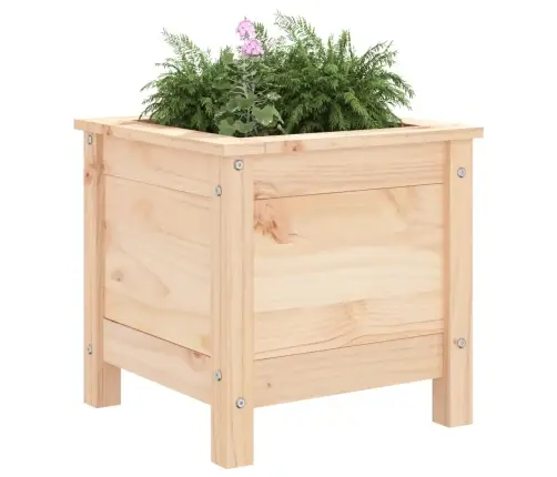 Taimekast, 40X40X39 cm Männipuit