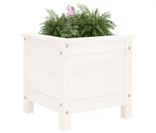 Taimekast, Valge, 40X40X39 cm Männipuit