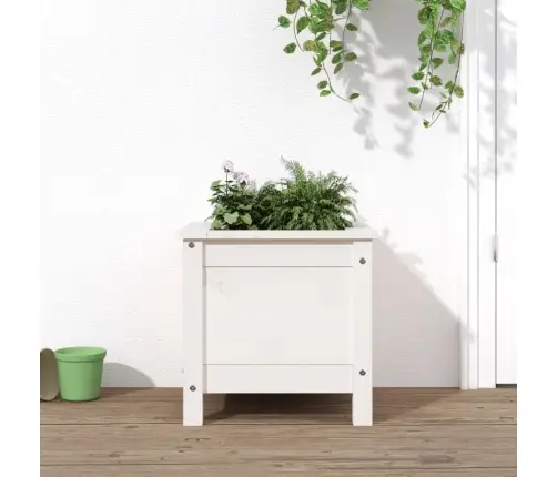 Taimekast, Valge, 40X40X39 cm Männipuit