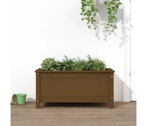 Taimekast, Meepruun, 82,5X40X39 cm Männipuit