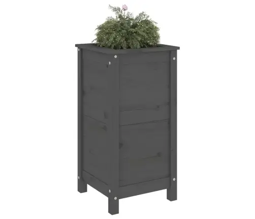 Taimekast, Hall, 40X40X78 cm Männipuit