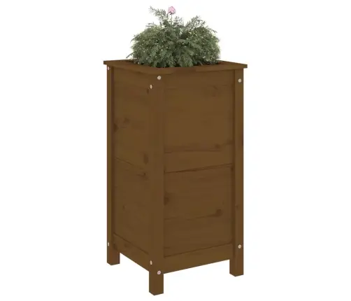 Taimekast, Meepruun, 40X40X78 cm Männipuit