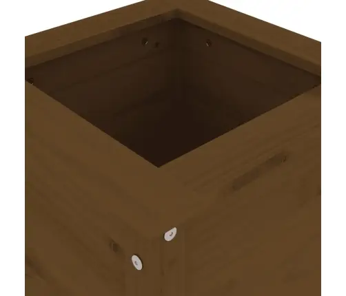 Taimekast, Meepruun, 40X40X78 cm Männipuit