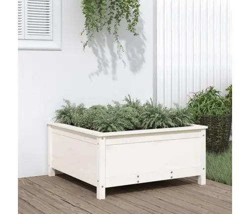 Dārza Puķu Kaste, Balta, 82,5X82,5X39 Cm, Priedes Masīvkoks Vidaxl