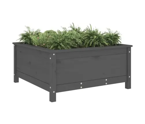 Taimekast, Hall, 82,5X82,5X39 cm Männipuit