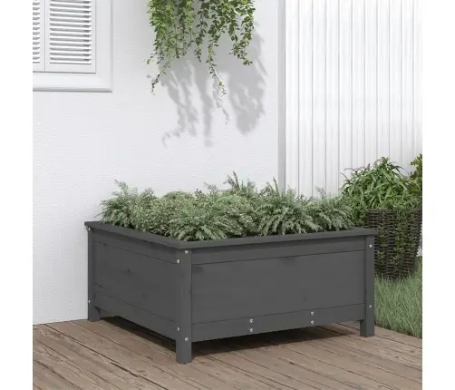 Taimekast, Hall, 82,5X82,5X39 cm Männipuit