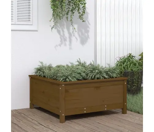 Dārza Puķu Kaste, Brūna, 82,5X82,5X39 Cm, Priedes Masīvkoks Vidaxl