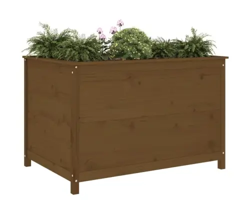 Augstā Puķu Kaste, Brūna, 119,5X82,5X78 Cm, Priedes Masīvkoks Vidaxl