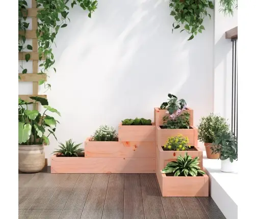 Dārza Puķu Kaste, 4 Līmeņi, 80,5X79X36 Cm, Duglasa Masīvkoks Vidaxl