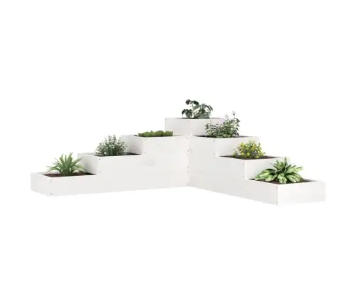 Puķu Kaste, 4 Līmeņi, 106X104,5X36 Cm, Balta, Priedes Masīvkoks Vidaxl