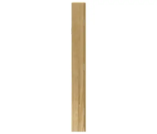 Seinale Kinnitatav Peegliga Ehetekapp, 37,5X10X90 Cm