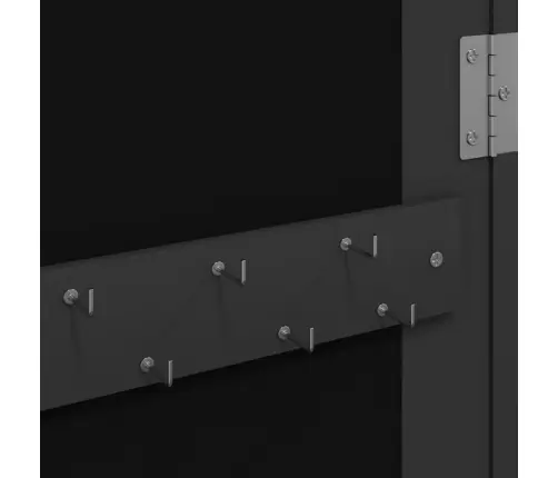 Seinale Kinnitatav Peegliga Ehetekapp, Must, 37,5X10X106 Cm