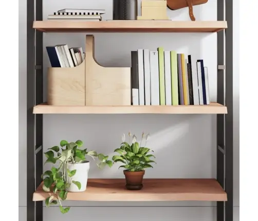 Sienas Plaukts, 80X50X(2-4) Cm, Neapstrādāts Ozola Masīvkoks Vidaxl Sienas Plaukts, 80X50X(2-4) Cm, Neapstrādāts Ozola Masīvkoks Vidaxl