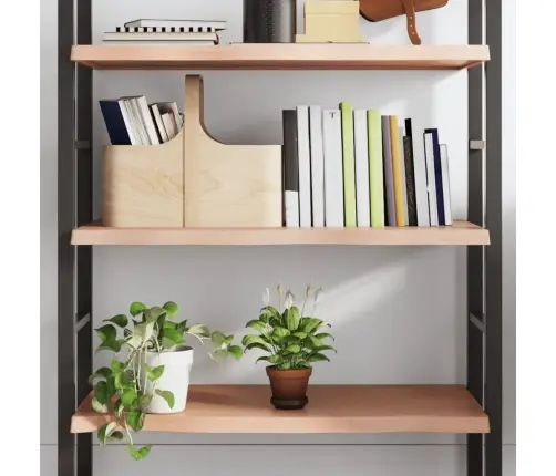 Sienas Plaukts, Gaiši Brūns, 80X60X(2-4) Cm, Ozola Masīvkoks Vidaxl