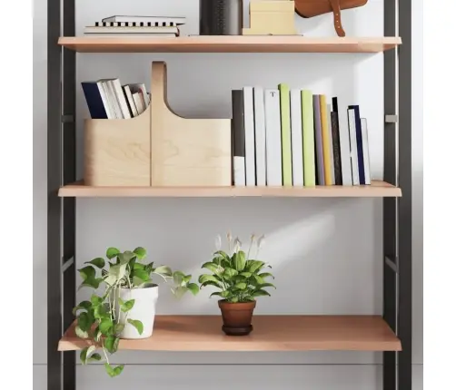 Sieninė Lentyna, Šviesiai Ruda, 100X50X2cm Ąžuolo Masyvas