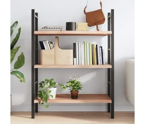 Sienas Plaukts, Gaiši Brūns, 100X60X(2-4) Cm, Ozola Masīvkoks Vidaxl