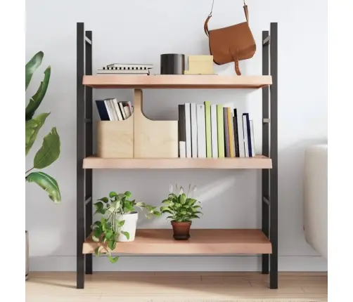 Sienas Plaukts, Gaiši Brūns, 100X60X(2-6) Cm, Ozola Masīvkoks Vidaxl