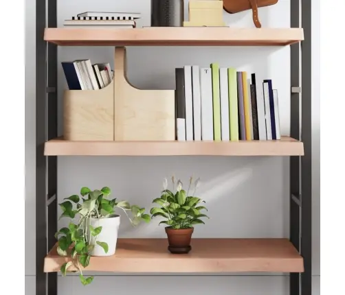 Sienas Plaukts, Gaiši Brūns, 100X60X(2-6) Cm, Ozola Masīvkoks Vidaxl