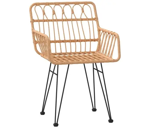 5-Daļīgs Dārza Mēbeļu Komplekts, Pe Rotangpalma Vidaxl