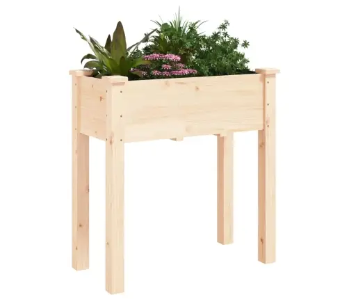 Puķu Kaste Ar Ieliktni, 71X37X76 Cm, Egles Masīvkoks Vidaxl