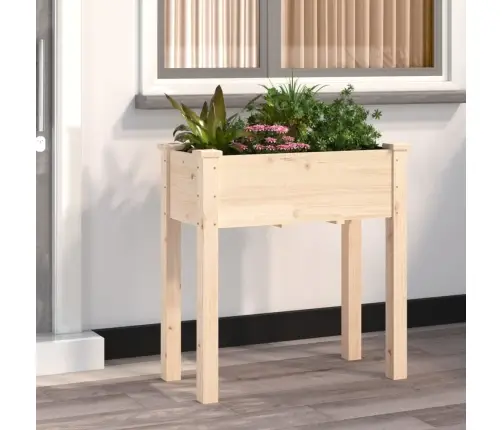 Puķu Kaste Ar Ieliktni, 71X37X76 Cm, Egles Masīvkoks Vidaxl