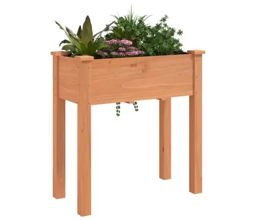 Lovelis Su Įdėklu, Rudas, 71X37X76cm Eglės Medienos Masyvas