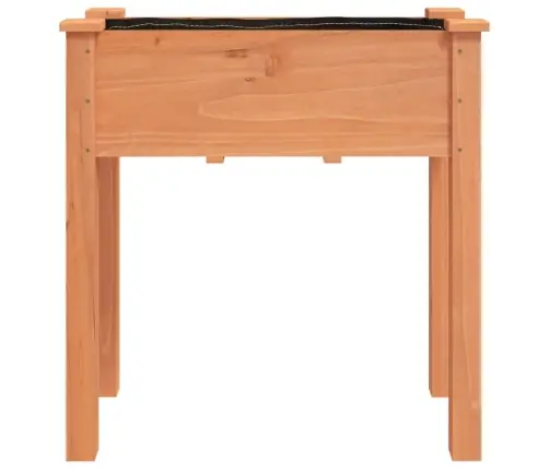 Lovelis Su Įdėklu, Rudas, 71X37X76cm Eglės Medienos Masyvas