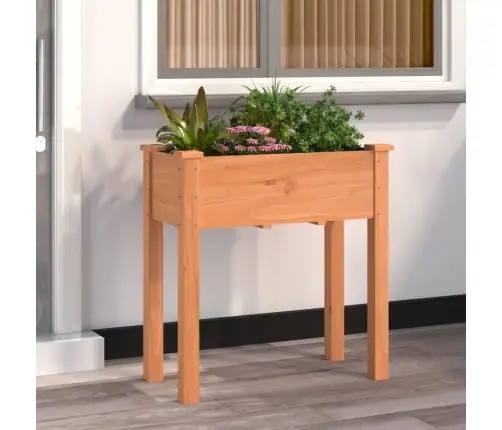 Lovelis Su Įdėklu, Rudas, 71X37X76cm Eglės Medienos Masyvas