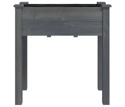 Voodriga Taimelava, Hall, 71 X 37 X 76 cm Nulupuit